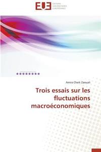 Trois Essais Sur Les Fluctuations Macroéconomiques