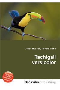 Tachigali Versicolor