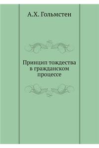 &#1055;&#1088;&#1080;&#1085;&#1094;&#1080;&#1087; &#1090;&#1086;&#1078;&#1076;&#1077;&#1089;&#1090;&#1074;&#1072; &#1074; &#1075;&#1088;&#1072;&#1078;&#1076;&#1072;&#1085;&#1089;&#1082;&#1086;&#1084; &#1087;&#1088;&#1086;&#1094;&#1077;&#1089;&#1089