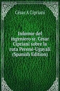Informe del ingeniero sr. Cesar Cipriani sobre la ruta Perene-Ugayali (Spanish Edition)