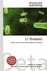 L1 (Protein)