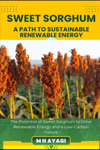 Sweet Sorghum