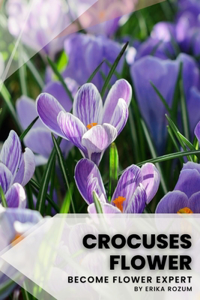 Crocuses flower