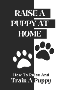 Raise A Puppy At Home