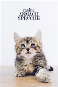 Meine Anmachsprüche