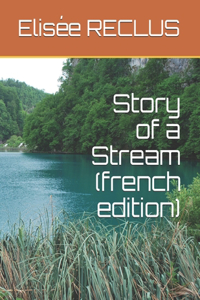 Story of a Stream (french edition)