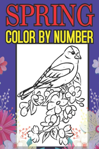 Spring Color By Number