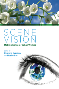 Scene Vision