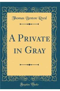 A Private in Gray (Classic Reprint)