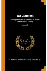 The Cactaceae
