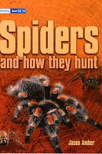 Literacy World Satellites Non Fic Stage 4 Spiders