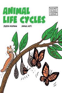 Animal Life Cycles