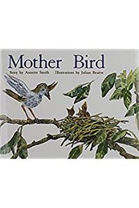 Mother Bird