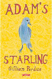 Adam's Starling