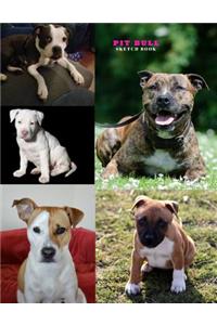 Pit Bull Sketch Book