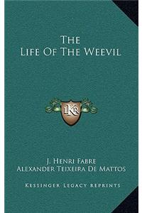 The Life of the Weevil