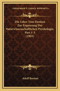 Die Lehre Vom Denken Zur Erganzung Der Naturwissenschaftlichen Psychologie, Part 1-3 (1903)