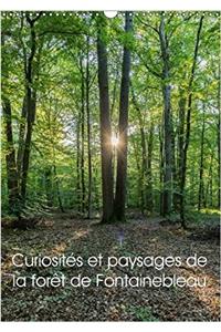 Curiosites Et Paysages De La Foret De Fontainebleau 2017