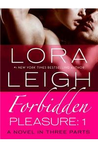 Forbidden Pleasure: Part 1