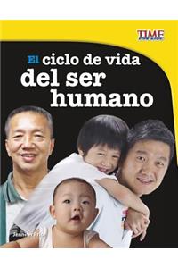 El Ciclo de Vida del Ser Humano