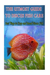 Utmost Guide to Discus Fish Care