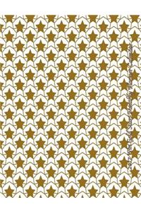 2017 Win Gold Stars Monthly Planner Calendar