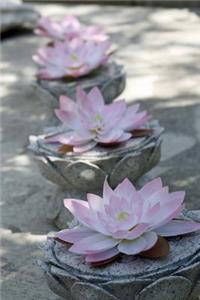 Lovely Soft Pastel Pink Lotus Blossoms Flower Journal