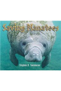 Saving Manatees