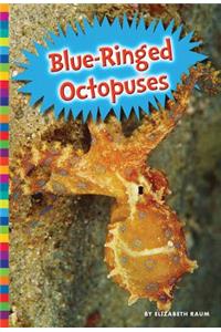 Blue-Ringed Octopuses