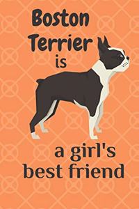Boston Terrier is a girl's best friend