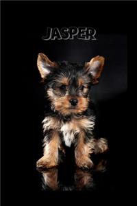 Jasper