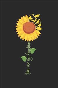 You are my Sunshine