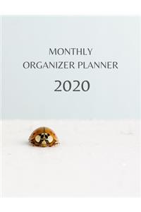 Monthly Organizer Planner