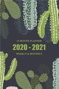 2020-2021