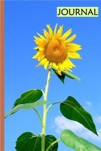 Journal