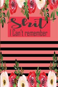 Shit I Can't Remember
