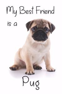 My best Friend is a Pug