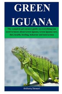 Green Iguana