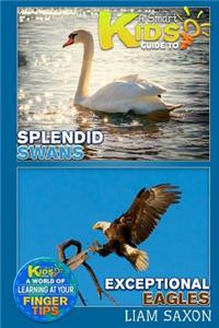 A Smart Kids Guide to Splendid Swans and Exceptional Eagles