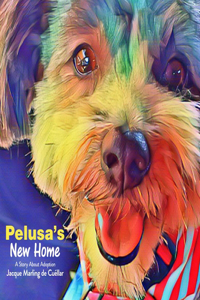 Pelusa's New Home