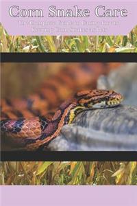 Corn Snake Care