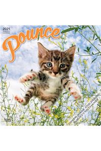 Pounce 2021 Square