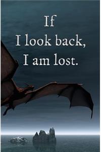 If I Look Back, I am Lost