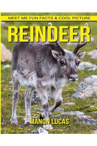 Reindeer: Meet Me Fun Facts & Cool Picture