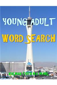 Young Adult Word Search: 133 Large Print Vocabulary Themed Puzzles