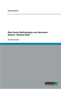 Eine kurze Werkanalyse von Hermann Hesses 