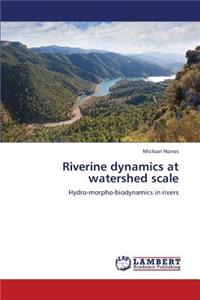Riverine Dynamics at Watershed Scale