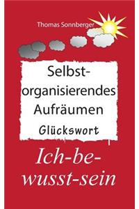 Selbstorganisierendes Aufräumen