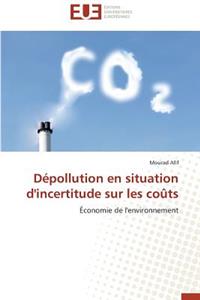 Dépollution En Situation d'Incertitude Sur Les Coûts