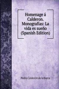 Homenage a Calderon. Monografias: La vida es sueno (Spanish Edition)